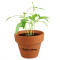 Farbiger Blumentopf - Topgiving